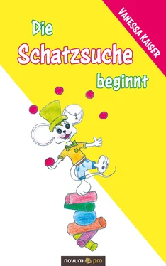 Vanessa Kaiser Die Schatzsuche beginnt обложка книги