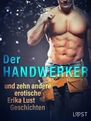 Sarah Skov - Der Handwerker und zehn andere erotische Erika Lust Geschichten
