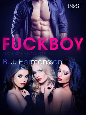 B. J. Hermansson Fuckboy: Erotische Novelle обложка книги