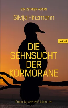 Silvija Hinzmann Die Sehnsucht der Kormorane обложка книги