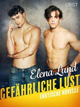 Elena Lund Gefährliche Lust - Erotische Novelle обложка книги