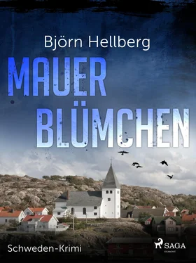Björn Hellberg Mauerblümchen - Schweden-Krimi обложка книги