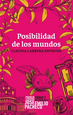 Claudia Cabrera Espinosa Posibilidad de los mundos обложка книги