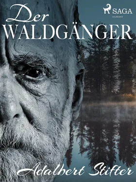 Adalbert Stifter Der Waldgänger обложка книги