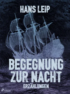 Hans Leip Begegnung zur Nacht обложка книги