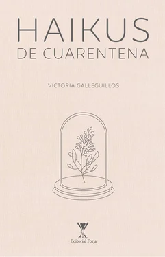 Victoria Galleguillos Haikus de cuarentena обложка книги