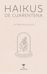 Victoria Galleguillos - Haikus de cuarentena