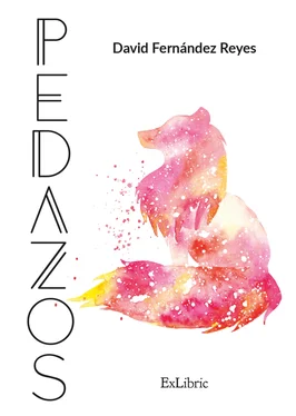 David Fernández Reyes Pedazos обложка книги