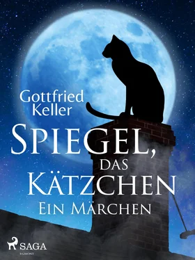 Gottfried Keller Spiegel, das Kätzchen. Ein Märchen обложка книги