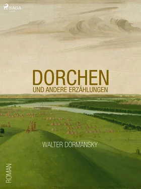 Walther Dormansky Dorchen обложка книги