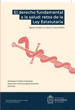 Неизвестный Автор El derecho fundamental a la salud : retos de la ley estatutaria обложка книги