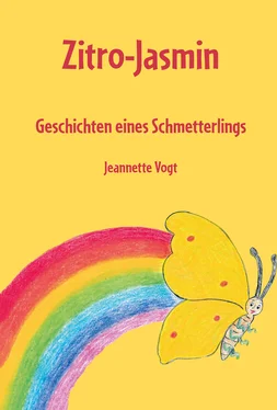 Jeannette Vogt Zitro-Jasmin обложка книги