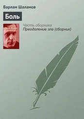 Варлам Шаламов - Боль