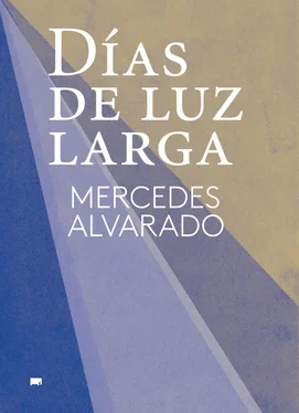 Mercedes Alvarado Días de luz larga обложка книги