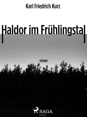 Karl Friedrich Kurz Haldor im Frühlingstal обложка книги