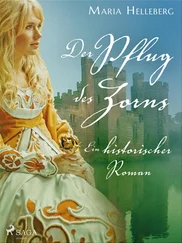 Maria Helleberg - Der Pflug des Zorns - Ein historischer Roman
