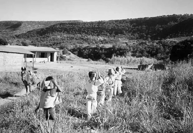 Alumnos del centro educativo cargando ladrillos para construir las - фото 11