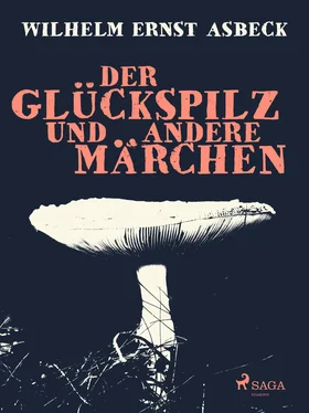 Wilhelm Ernst Asbeck Der Glückspilz und andere Märchen обложка книги