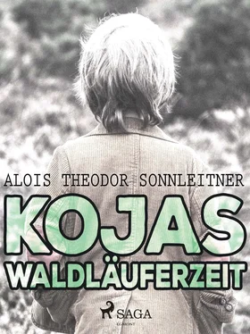 Alois Theodor Sonnleitner Kojas Waldläuferzeit обложка книги