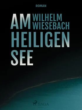 Wilhelm Wiesebach Am heiligen See обложка книги