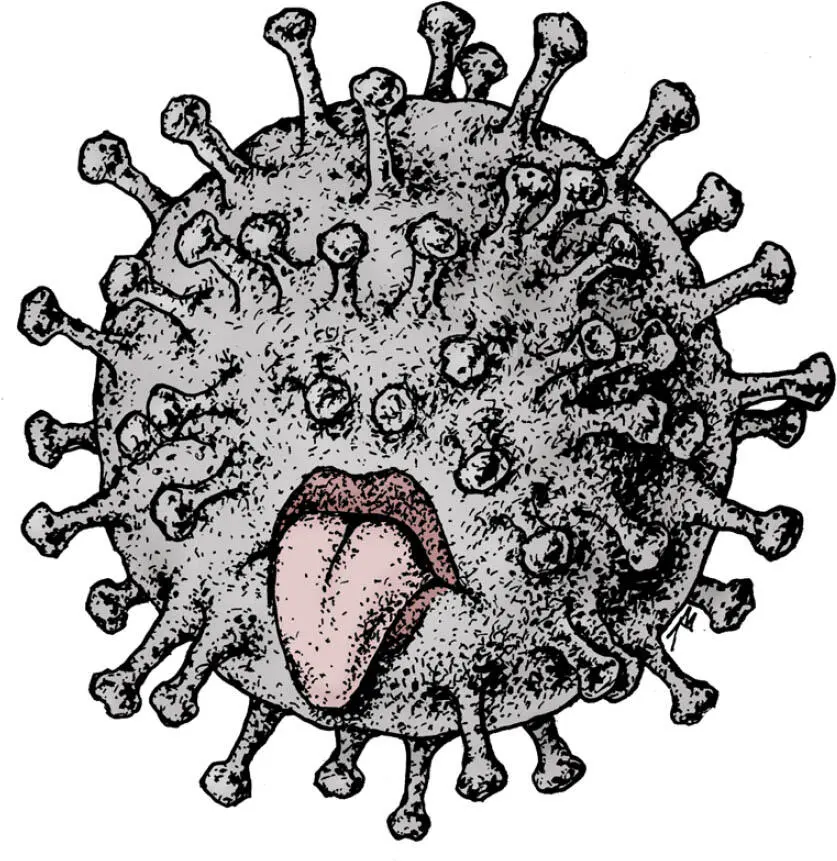 Inhalt PROLOG PROLOG Ein Virus weit kleiner als ein Zehntausendstel - фото 3