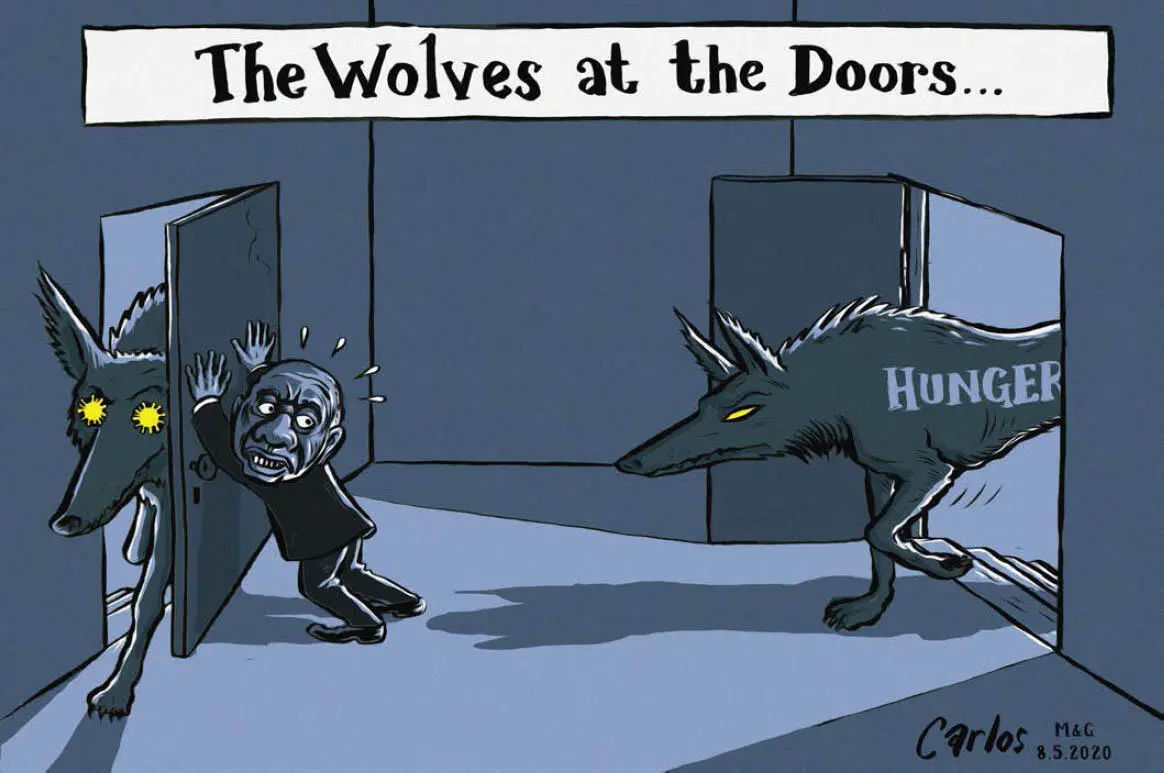 Carlos Amato Wolves first published by the Mail Guardian Südafrika Die - фото 26
