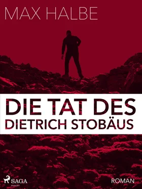 Max Halbe Die Tat des Dietrich Stobäus обложка книги