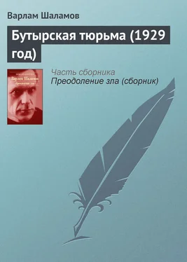 Варлам Шаламов Бутырская тюрьма (1929 год) обложка книги