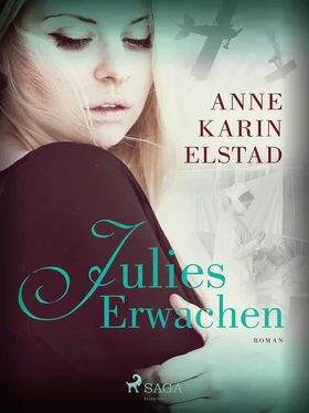 Anne Karin Elstad Julies Erwachen обложка книги