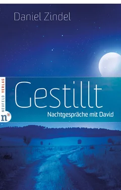 Daniel Zindel Gestillt обложка книги