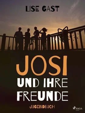 Lise Gast Josi und ihre Freunde обложка книги
