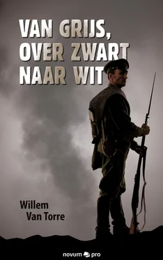 Willem Van Torre Van grijs, over zwart naar wit обложка книги