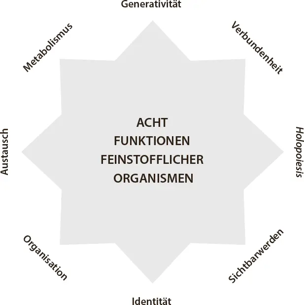 Abb 1 Acht Funktionen feinstofflicher Organismen Diese Identität drückt - фото 7