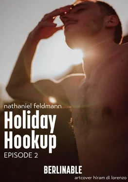 Nathaniel Feldmann Holiday Hookup - Episode 2 обложка книги