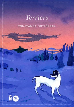 Constanza Gutiérrez Terriers обложка книги