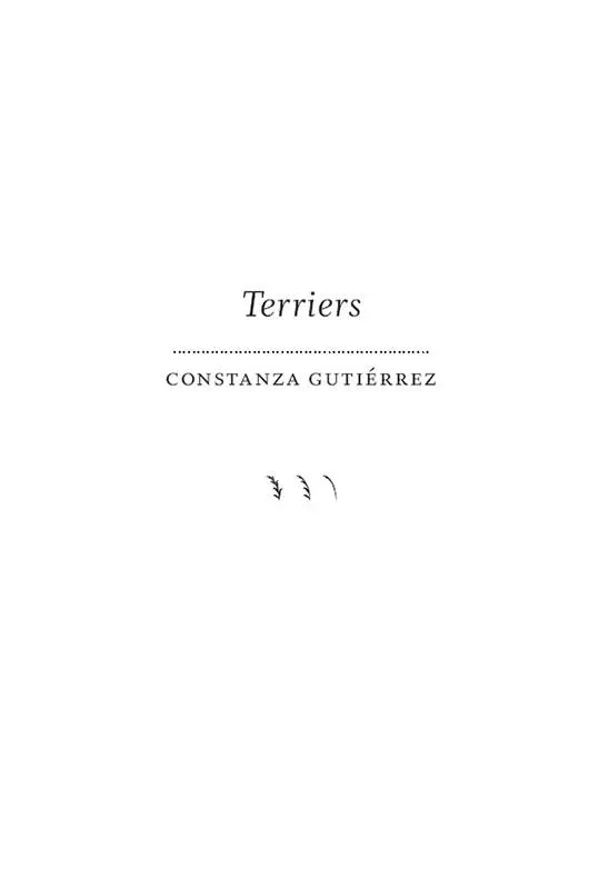 Terriers Constanza Gutiérrez Editorial Hueders Editorial Montacerdos - фото 1