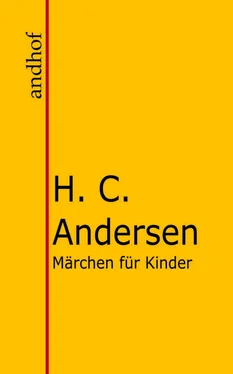 Hans Christian Märchen für Kinder обложка книги
