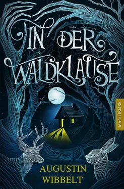 Augustin Wibbelt In der Waldklause - Märchen für kleine und große Kinder bis zu 80 Jahre und darüber обложка книги