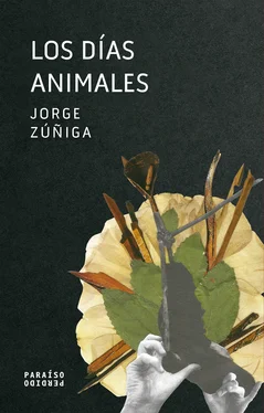 Jorge Zúñiga Los días animales обложка книги