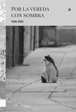 Yamil Dora Por la vereda con sombra обложка книги