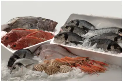 El pescado y marisco es muy corruptible no se debe romper la cadena de frío - фото 40