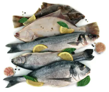 De forma general mientras que los pescados grasos y semigrasos son habituales - фото 30