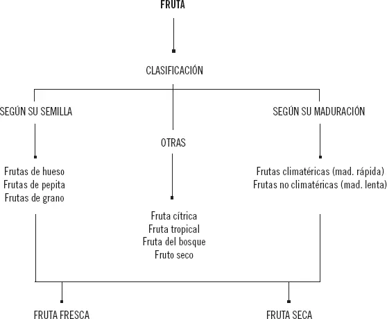 48 La pasta La pasta se clasifica en primer lugar según el proceso - фото 25
