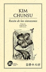 Chunsu Kim - Razón de las sinrazones