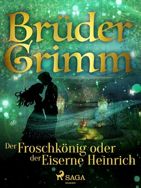 Brüder Grimm Der Froschkönig oder der Eiserne Heinrich обложка книги