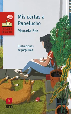 Marcela Paz Mis cartas a Papelucho обложка книги