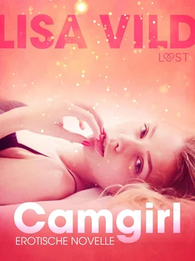 Lisa Vild Camgirl: Erotische Novelle обложка книги