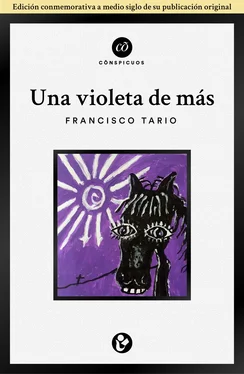 Francisco Tario Una violeta de más обложка книги