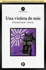 Francisco Tario - Una violeta de más