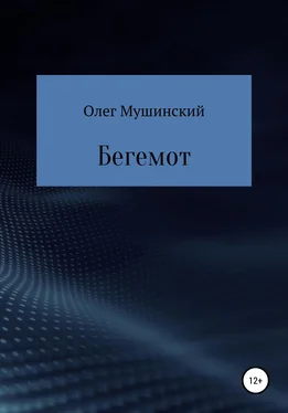 Олег Мушинский Бегемот обложка книги